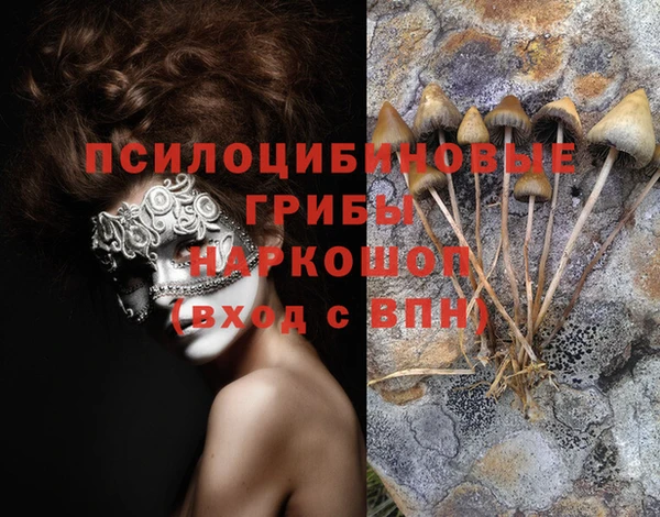 ешки Новодвинск