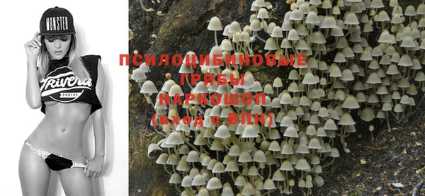 ECSTASY Нефтегорск