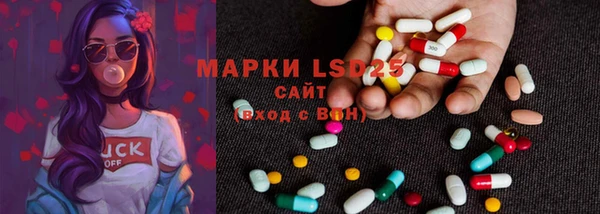 ECSTASY Новозыбков