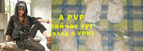 ECSTASY Новозыбков