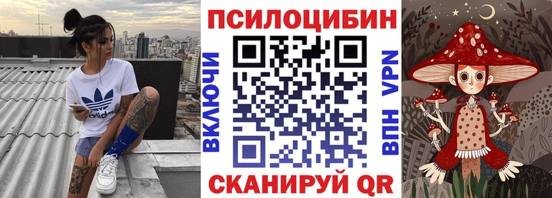 Псилоцибиновые грибы Cubensis Луза